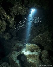 Cayman Caverns
